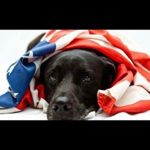 Meet your Posher, Patrick